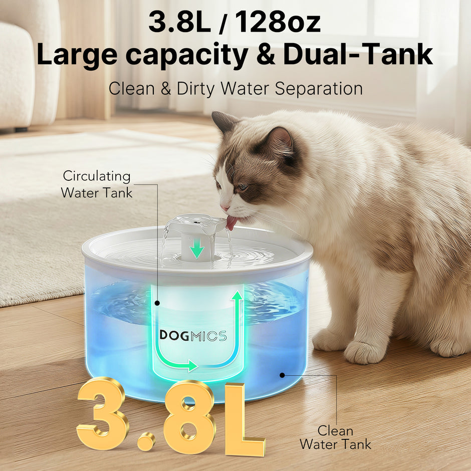 Cat Water Fountain 3.8L/128oz Indoor Water Dispenser for Cats and Dogs Automatic Pet Water Fountain with Silent Pump